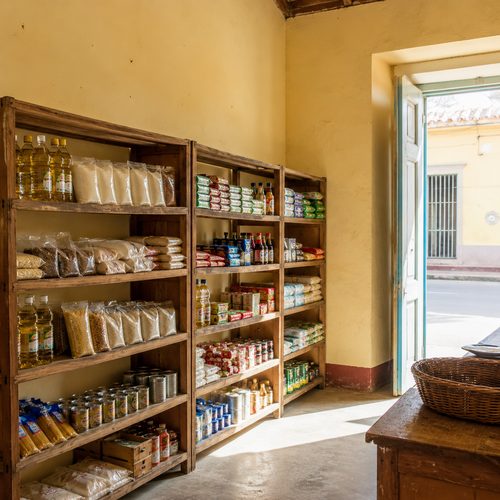 Interior de la tienda con los estantes de madera surtidos